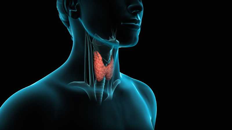 What Are Early Warning Signs of Thyroid Problems?